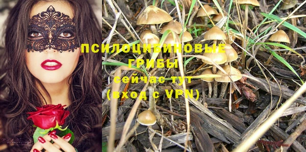 марки nbome Няндома